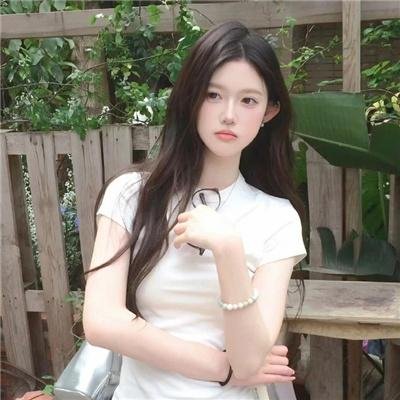 高速路上一只猫