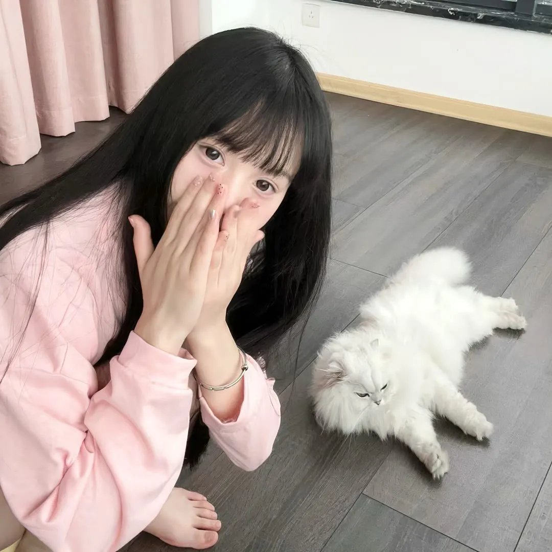 巴里穆迪